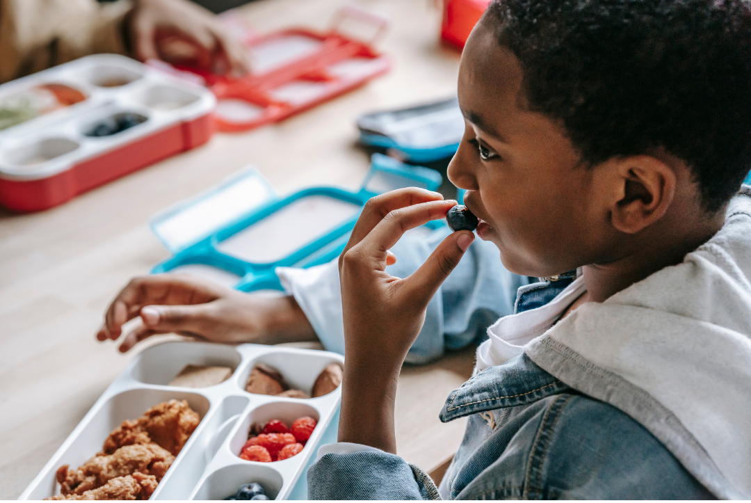 Frozen Single Meals