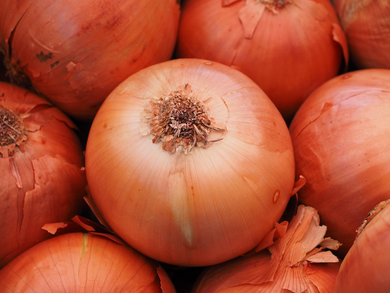 Onions